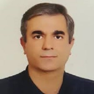 محمدرضا عاملی