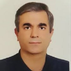 محمد رضا عاملی