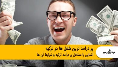 پر درآمد ترین شغل های ترکیه
