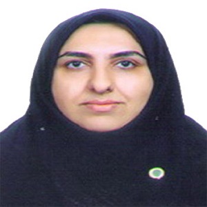 وکیل آذر خان رمکی