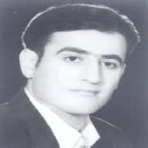 وکیل ابوالحسن شاه محمدی