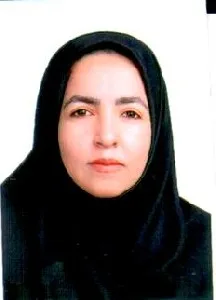 وکیل سیده مریم رضوی