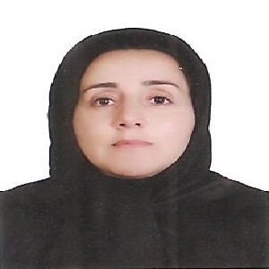 وکیل طیبه شیخی