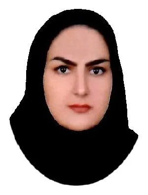 وکیل مهدیه دزگی