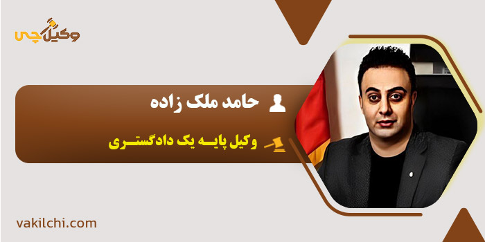 حامد ملک زاده