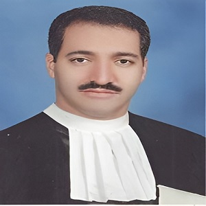 ولی محمدی