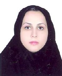 وکیل اشرف نظری