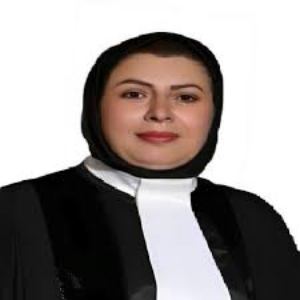 وکیل الهام میدانی