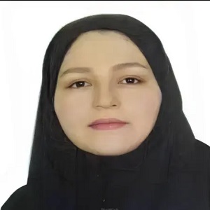 وکیل حمیده طاهائی