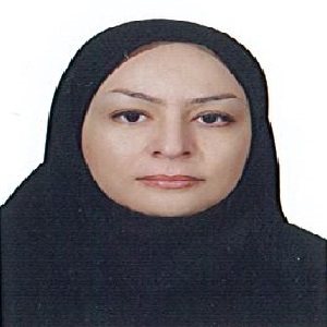 وکیل لیلی احمدی