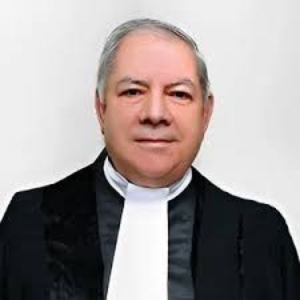 وکیل محمدعلی رامین