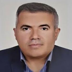 وکیل مرتضی خان محمدی