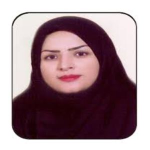وکیل مریم نادری