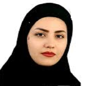 وکیل نرگس آل محمدی