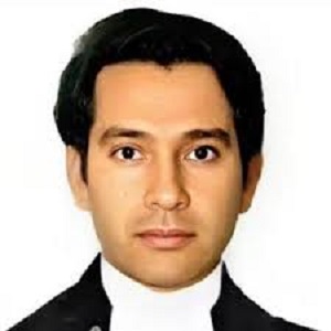 وکیل پارسا اکبری