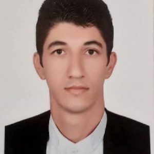 محمدرضا عبادی