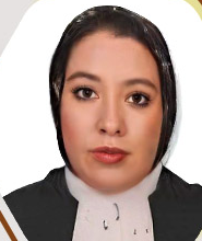 وکیل مهدیه مشایخی