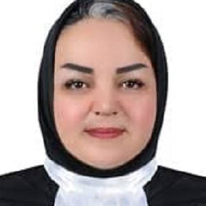وکیل فرزانه مهمان نواز