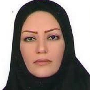 وکیل مریم کرمی راد