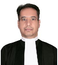 وکیل رضا مجد