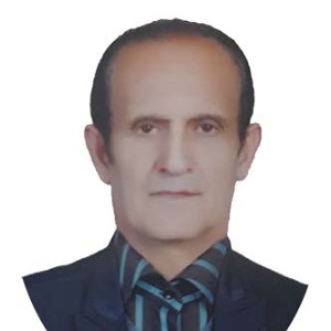 وکیل حسین ابراهیمی