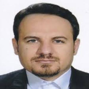 وکیل مجتبی محمدی