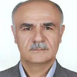 وکیل نادر کاظمی گورجی