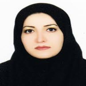 وکیل مریم ملک زاده