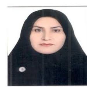 وکیل زینب یوسف زاده