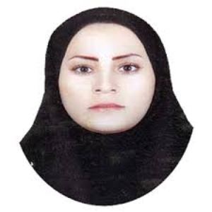 وکیل ماندانا جنگلی
