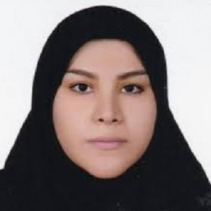 وکیل نسرین حیدر بیگی