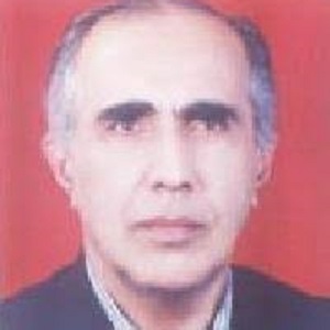وکیل سید علی حسینی