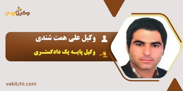 وکیل علی همت شندی