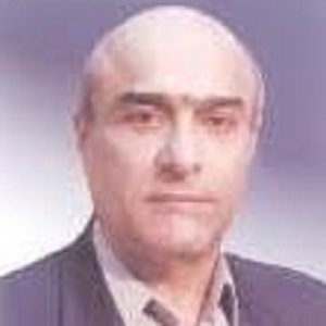 وکیل محمد هادی صفاری