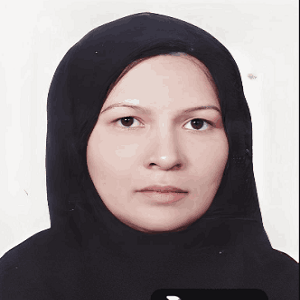 مهناز حسینی‌ سیرچی‌