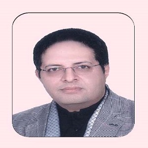 میثم ولی‌زاده
