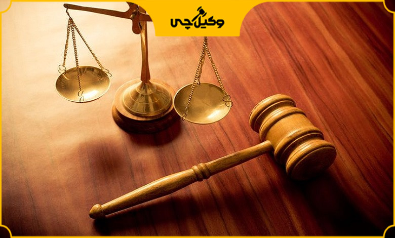 وکلای زن در ورامین در چه حوزههایی فعالیت دارند؟