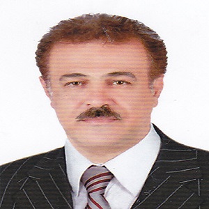 رضا ابراهیمی