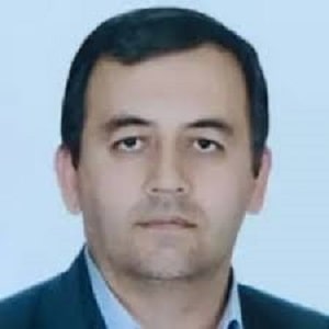 جاوید پاشایی سلطان احمدی