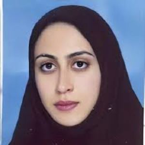 وکیل رضوان سلیمانی