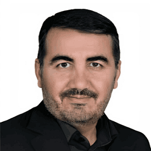 محمد رضوی 