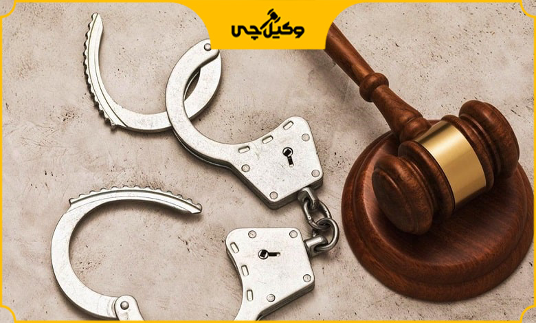 بهترین وکیل کیفری در رامسر در چه زمینه‌هایی تخصص دارد؟
