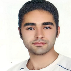 وکیل امیر حسنی