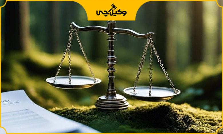 5 ویژگی طلایی که بهترین وکیل منابع طبیعی در کرج باید داشته باشد!