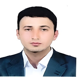 حامد موحدنیا