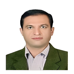 حسین محمدی بیدمشکی 