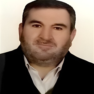 محمد محمدی‌دهنو