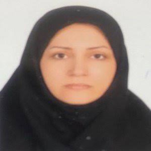 وکیل مریم علی زاده زنجانی