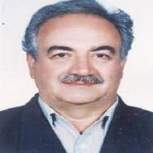 وکیل مهدی کوثری