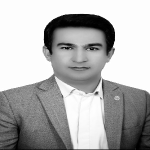جواد بویرحسنی